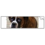 Boxer Dog Bumper Sticker