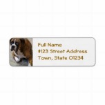 Boxer Dog Return Address Label