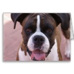 Boxer Pup Greeting Card