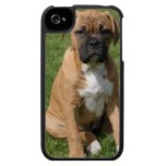 Boxer Puppy Dog iPhone Case