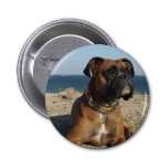 Cute Boxer Dog Round Button