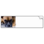 Resting Boxer Dog Bumper Stickers