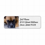 Resting Boxer Dog Mailing Label