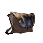 Resting Boxer Dog Messenger Bag