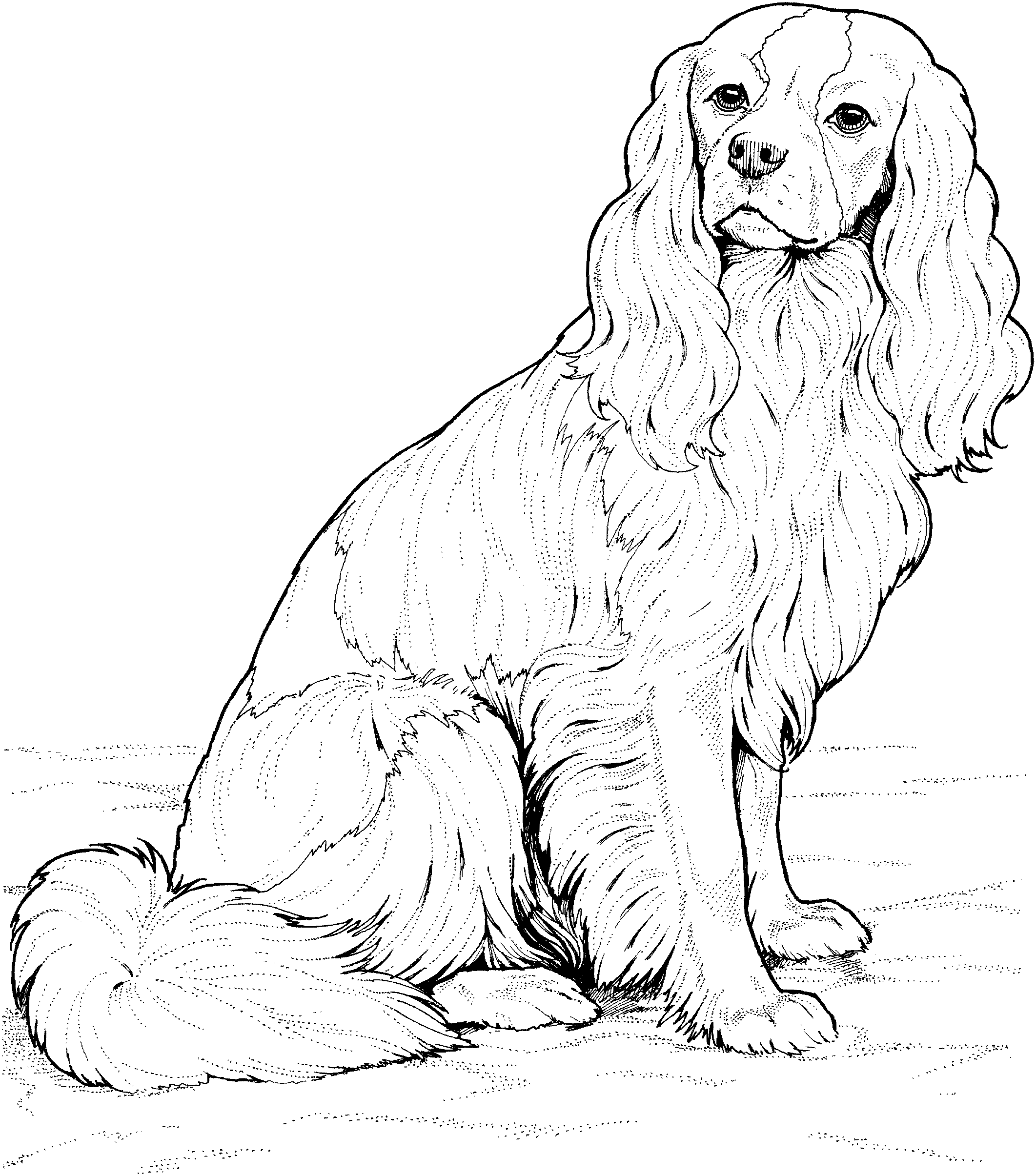 Dog Breed Coloring Pages