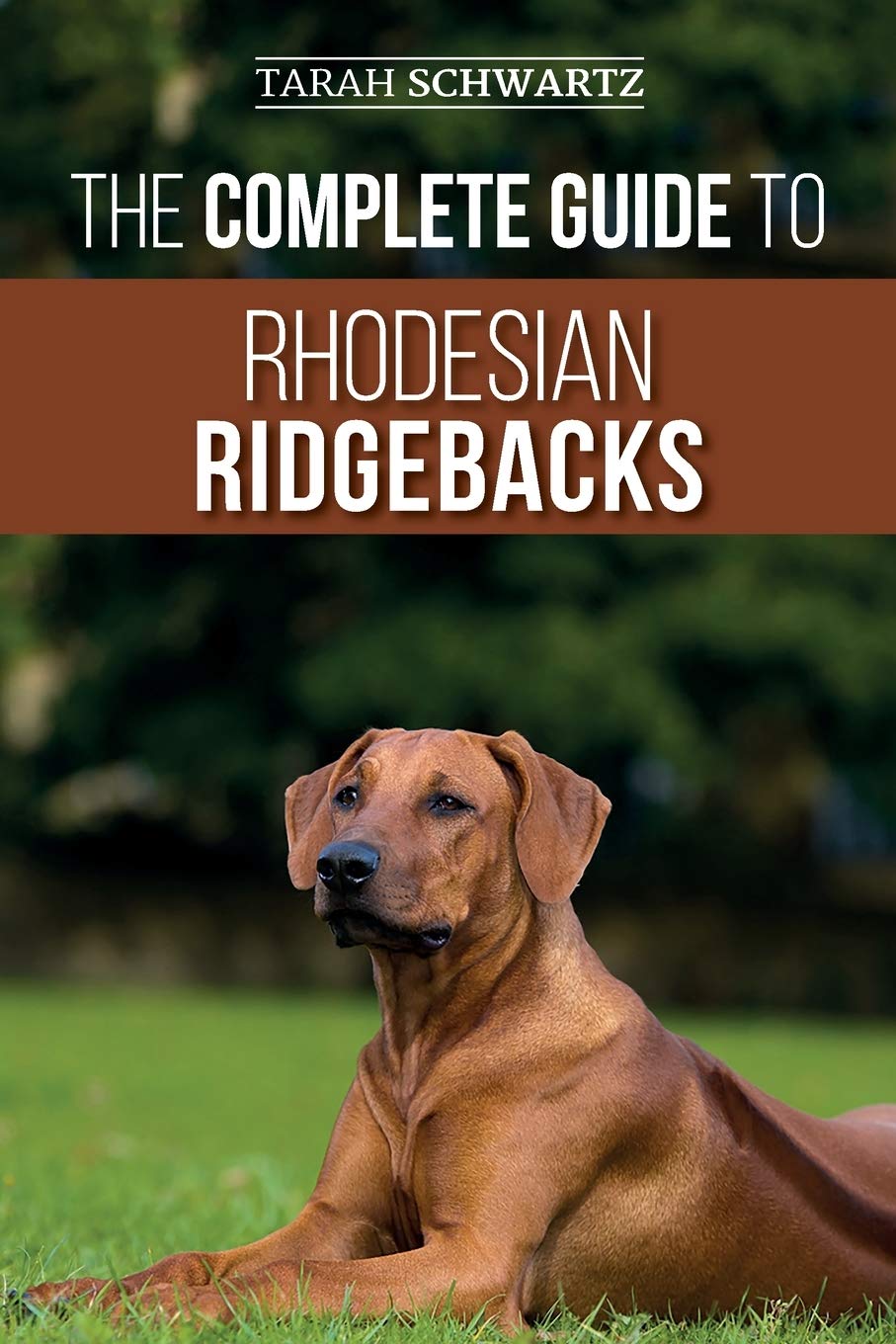 The Complete Guide to Rhodesian Ridgeback