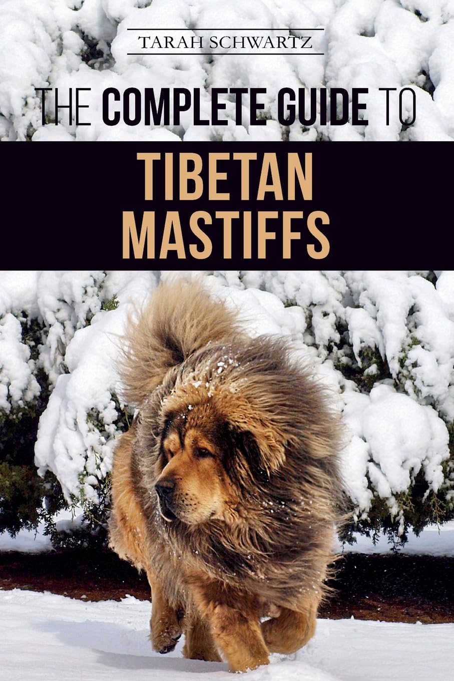 The Complete Guide to Tibetan Mastiff