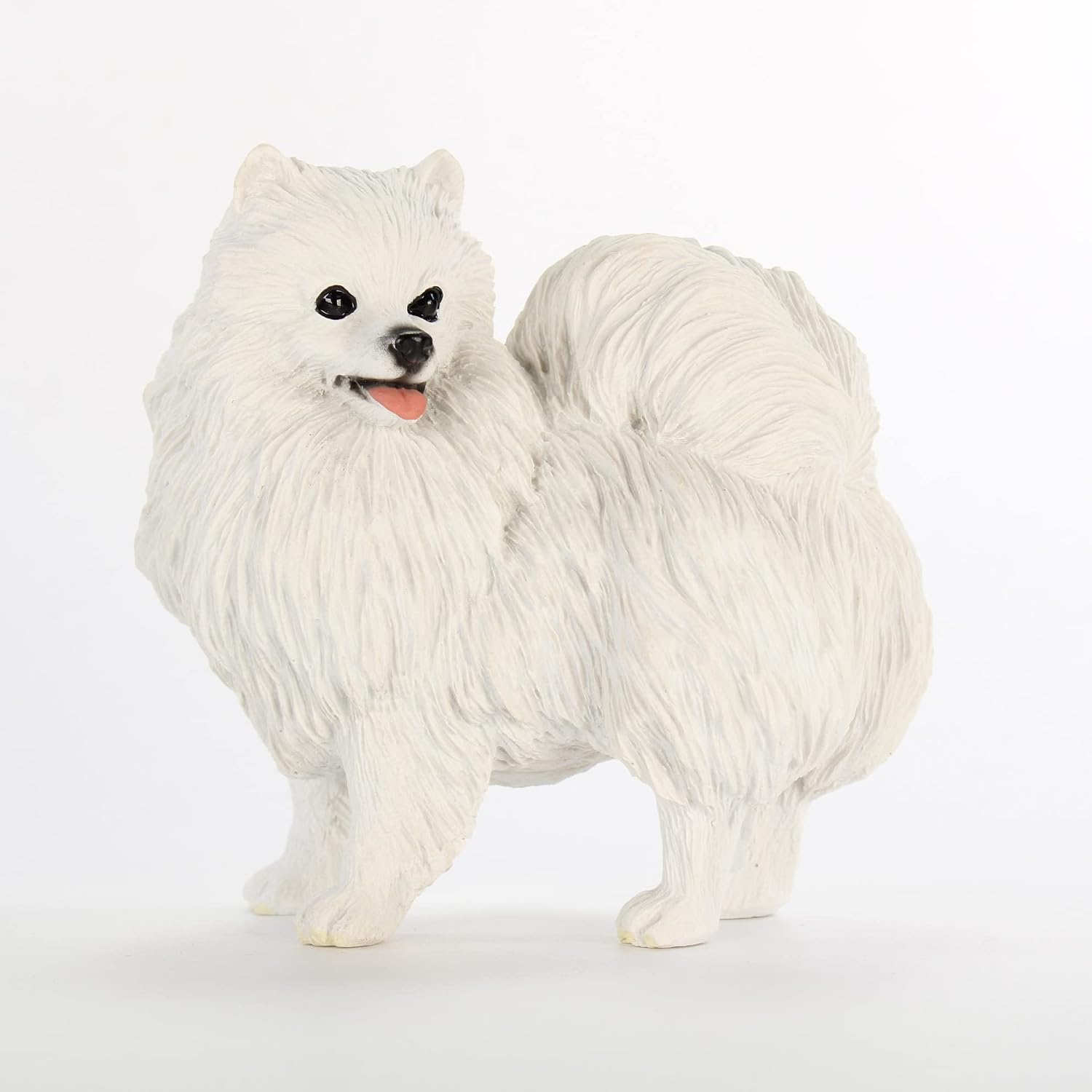 American Eskimo Dog
