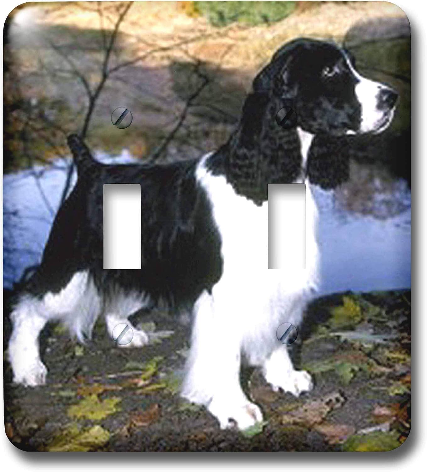 Springer Spaniel Dog Double Light Switch