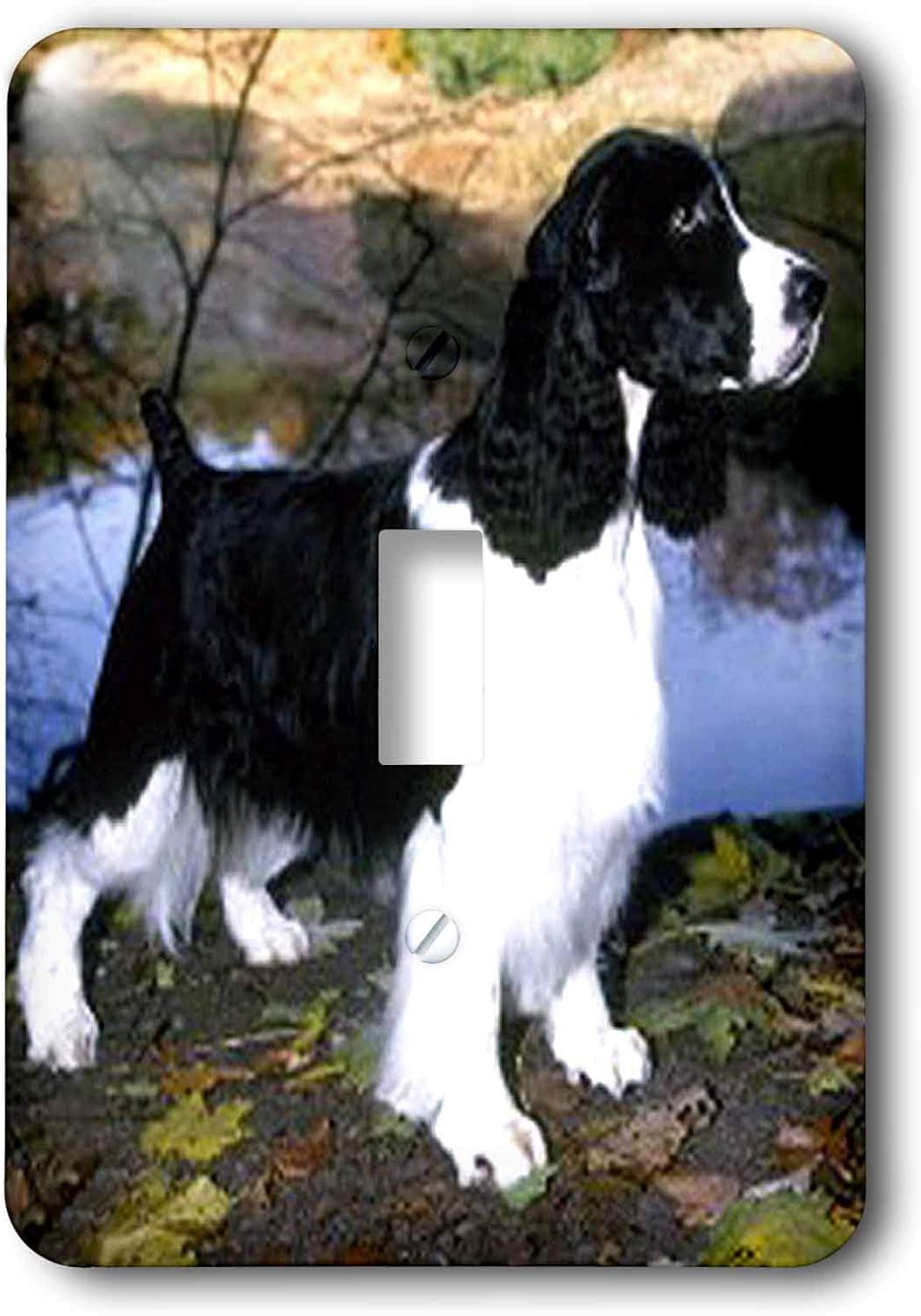 Springer Spaniel Dog Light Switch