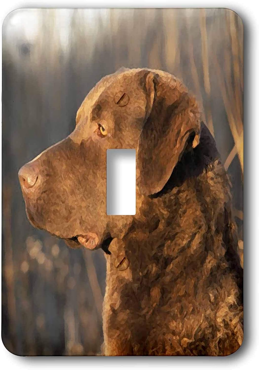 Chesapeake Bay Retriever Dog Light Switch