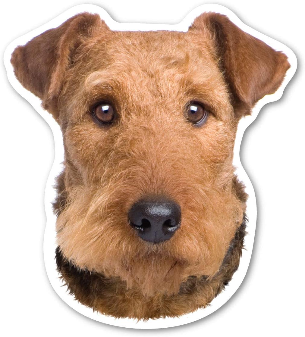 Airedale Terrier Dog Car Magnet