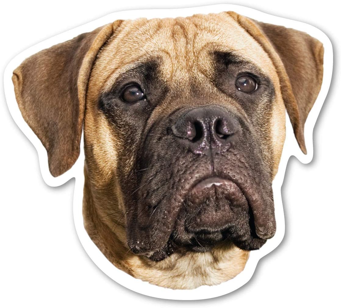 Bull Mastiff  Dog Vinyl Decal