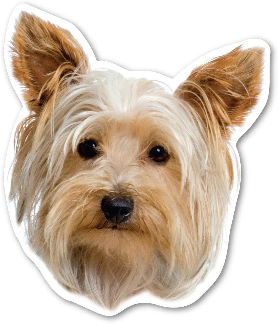 York Terrier Dog Magnet