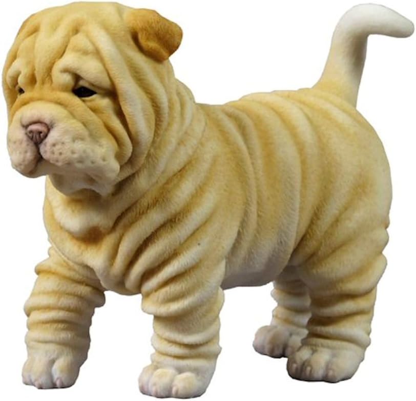 Shar Pei