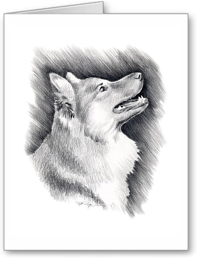 Icelandic Sheepdog Note Cards