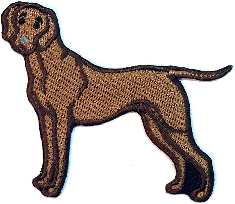Vizsla Dog Iron on Patch