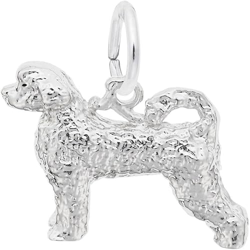 Portuguese Water Dog