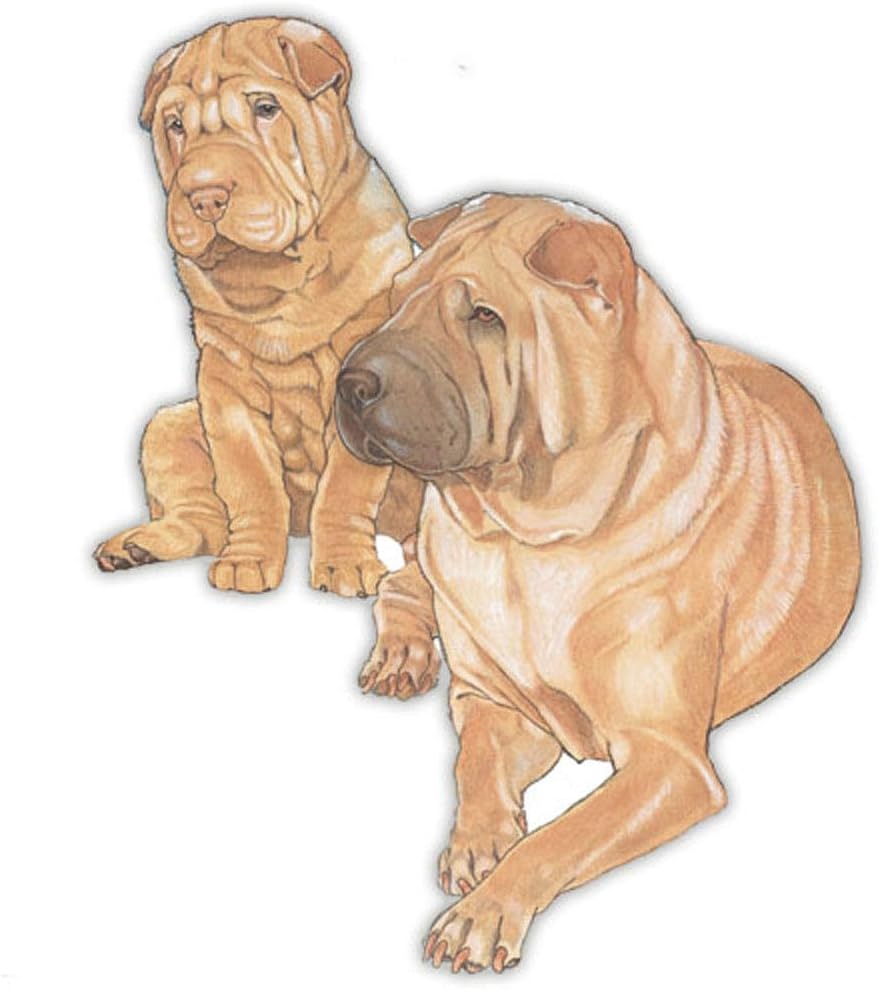 Shar Pei Wooden Magnet