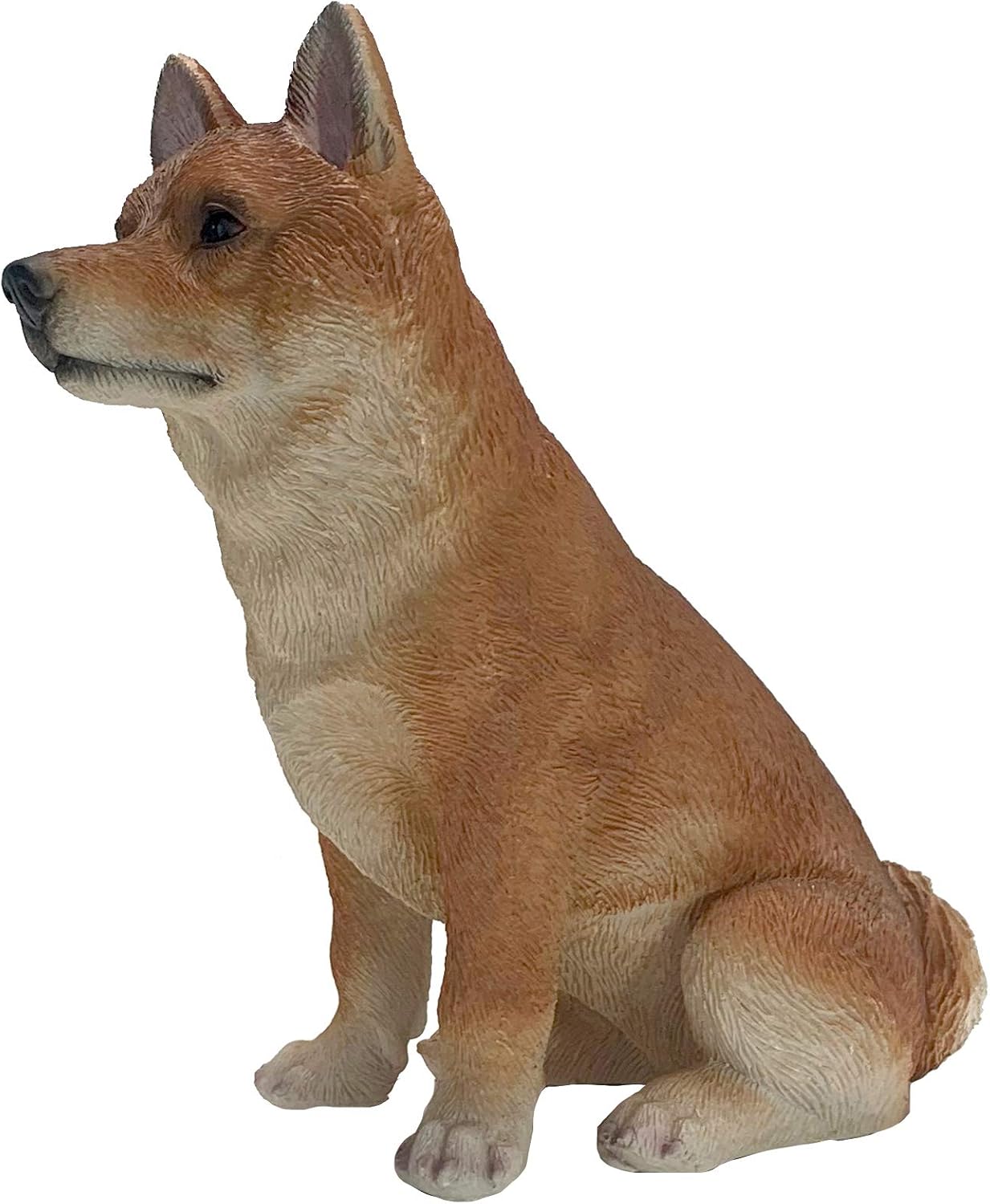 Shiba Inu