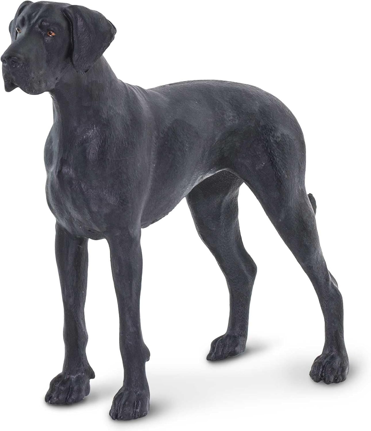 Great Dane