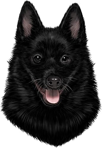 Schipperke Dog Vinyl Decal