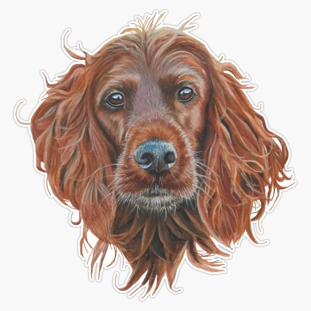 Irish Setter Dog Decal