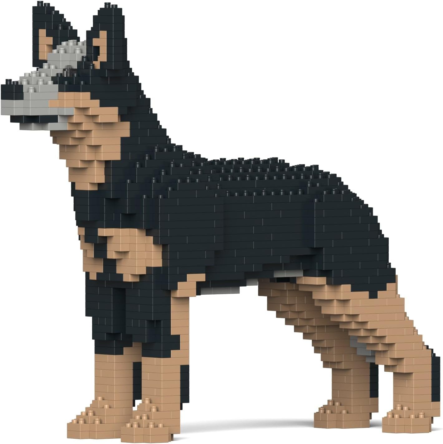 Australian Cattle Dog Building Blocks