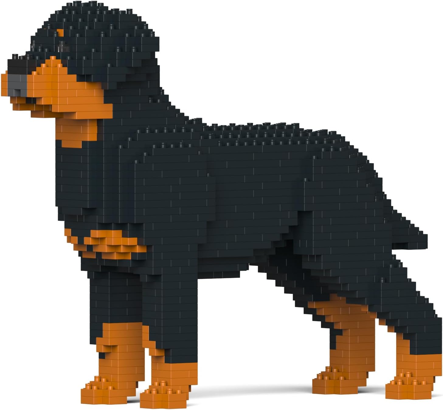 Rottweiler Dog Building Blocks