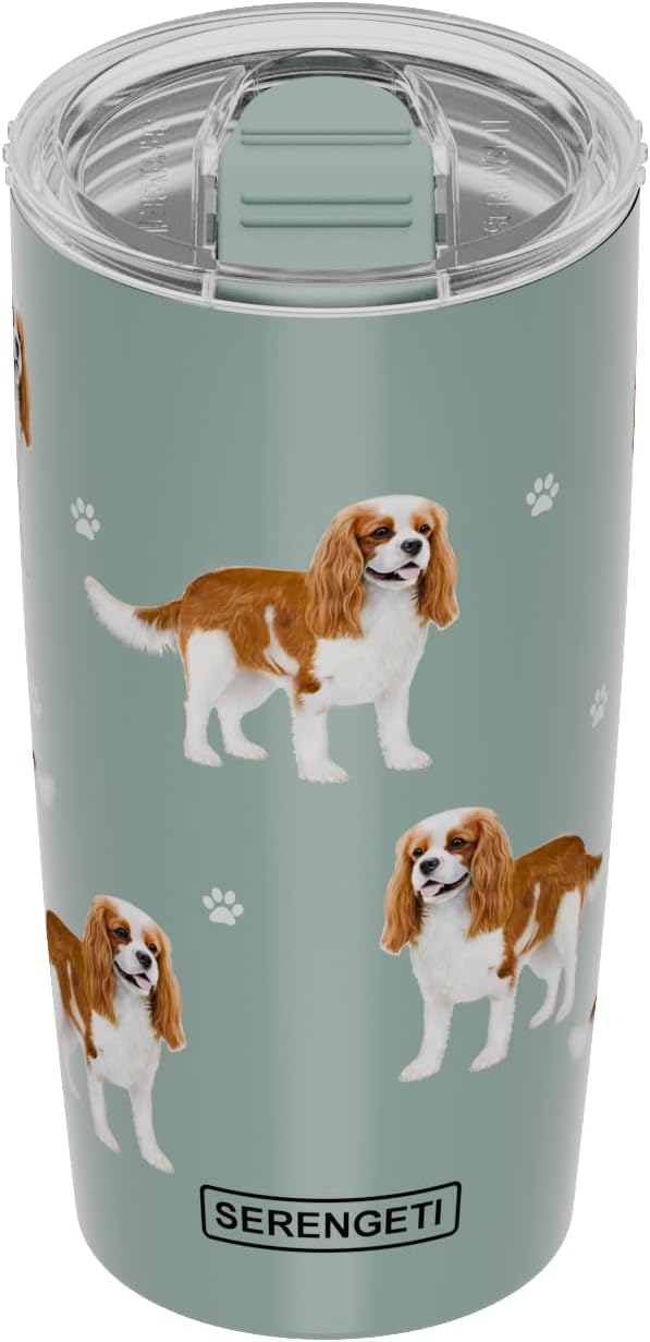 Cavalier King Charles Spaniel