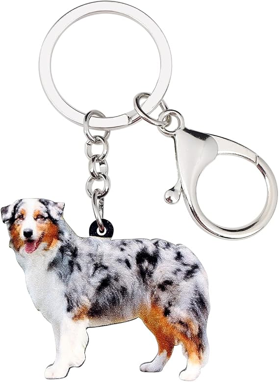 Australian Shepherd