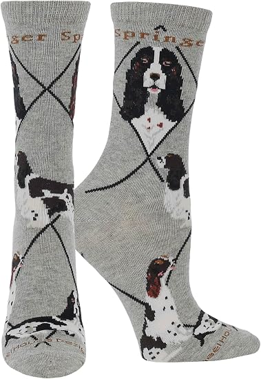 Springer Spaniel Dog Socks