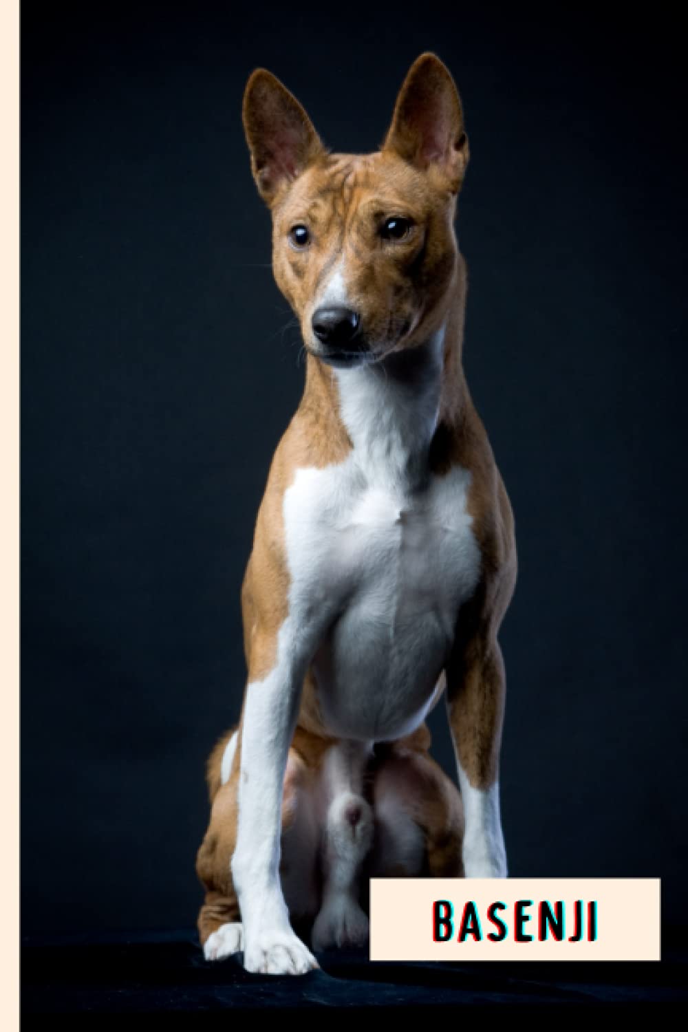 Basenji: Funny Wide Ruled Notebook