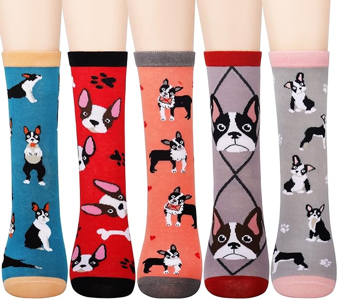 Boston Terrier