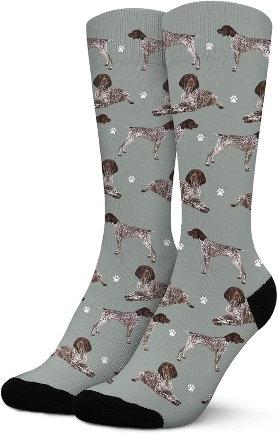 German Short Hair Pointer Dog Socks