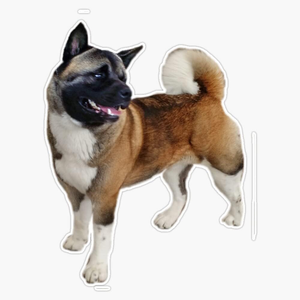Akita Dog Portrait Vinyl Sticker Laptop Decal Waterproof 5"