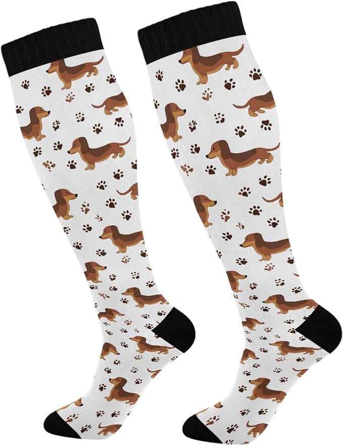 Dashchund Dog Compression Socks