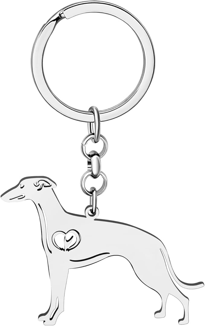 Whippet