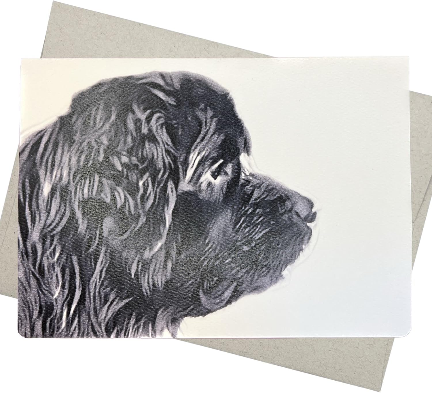 Newfoundland Dog Birthday Card