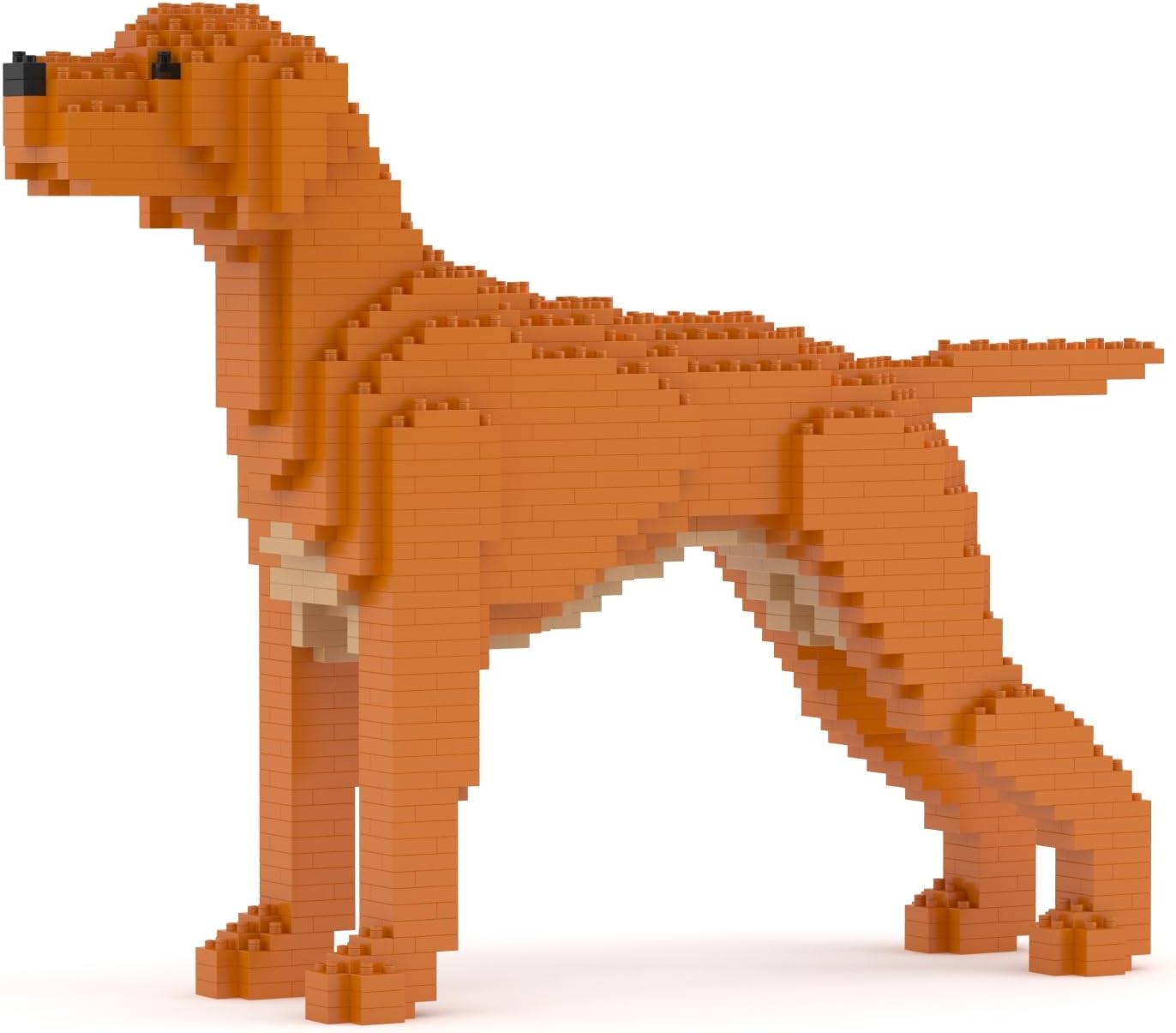 ungarian Vizsla Dog Building Blocks