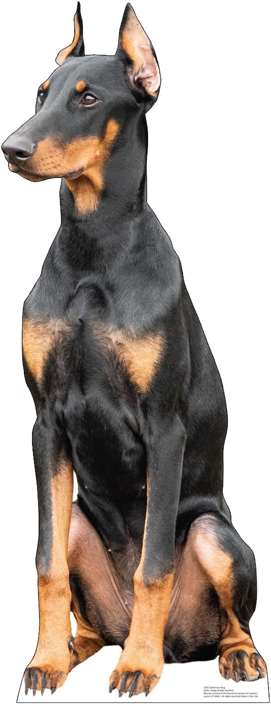 Doberman Dog Cardboard Cutout