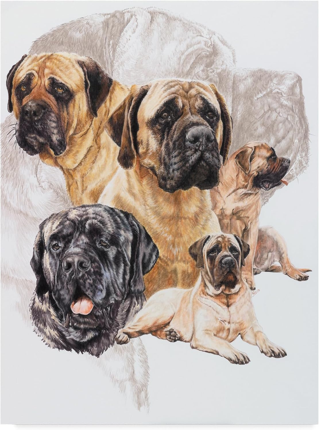 Bull Mastiff Wall Art