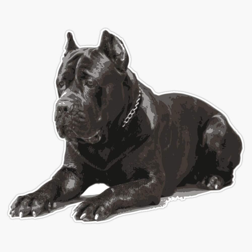 Cane Corso Vinyl Decal