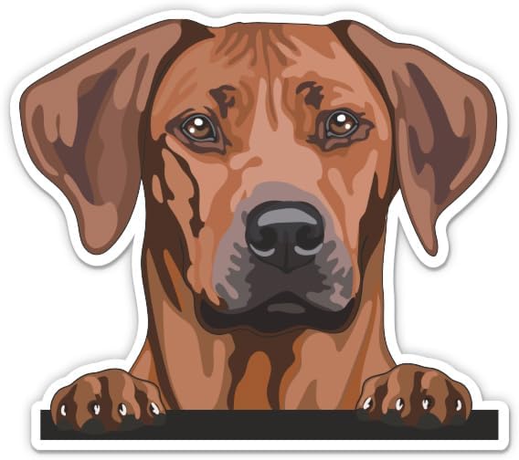 Rhodesian Ridgeback Decals (set of 2)