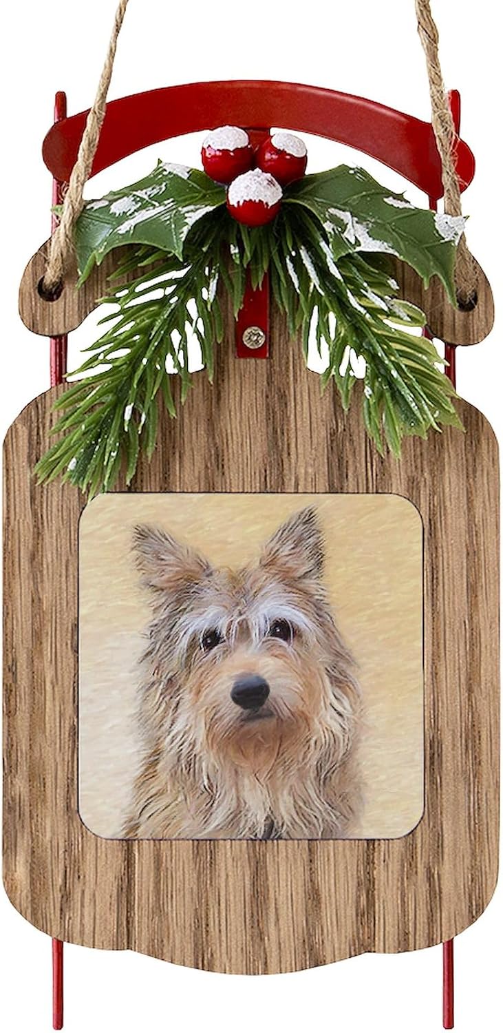 Berger Picard Sled Christmas Ornament