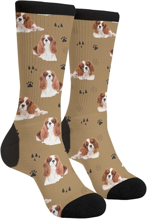 Cavalier King Charles Spaniel Dog Socks