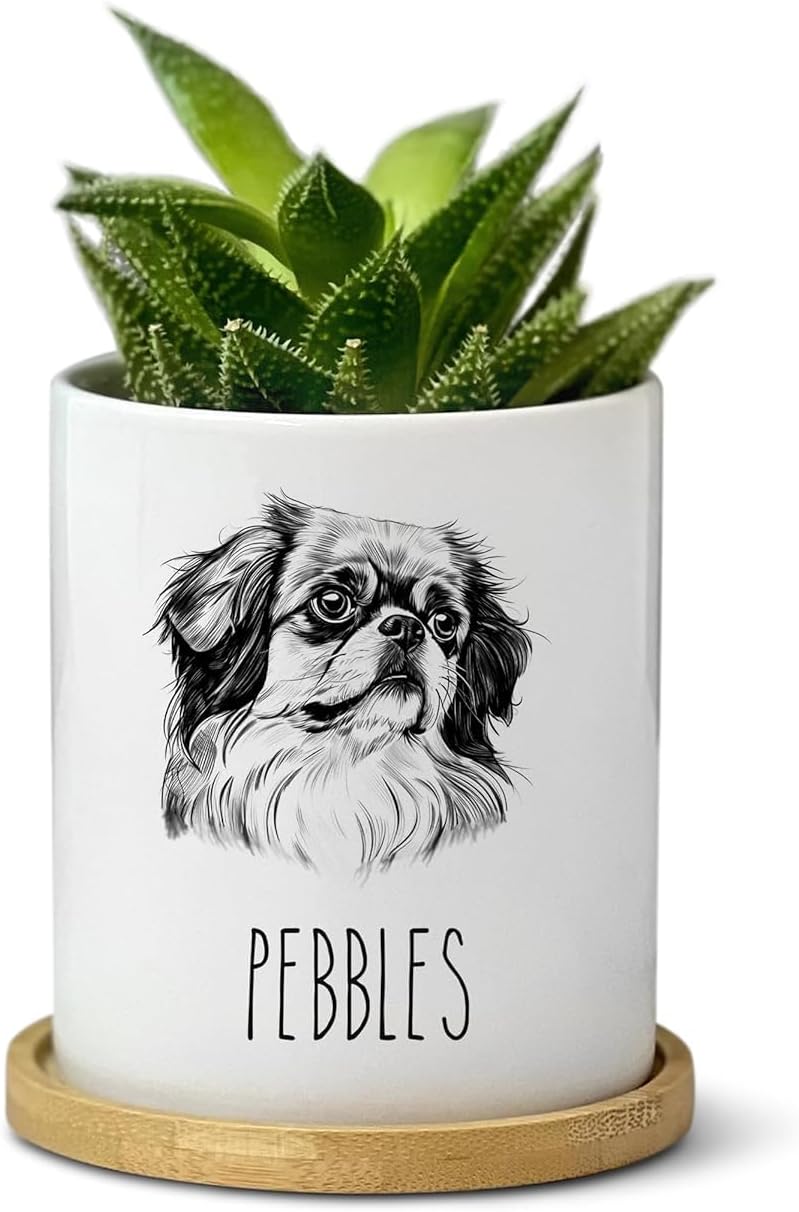 Pekingese Dog Plante r