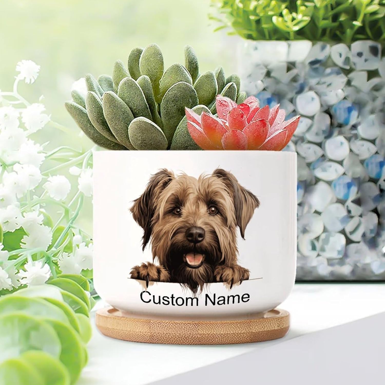 Briard Dog Planters (set of 5)