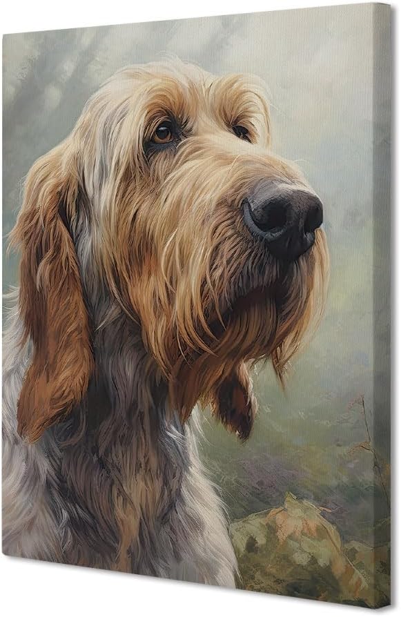Grand Basset Griffon Vendeen Canvas Wall Art