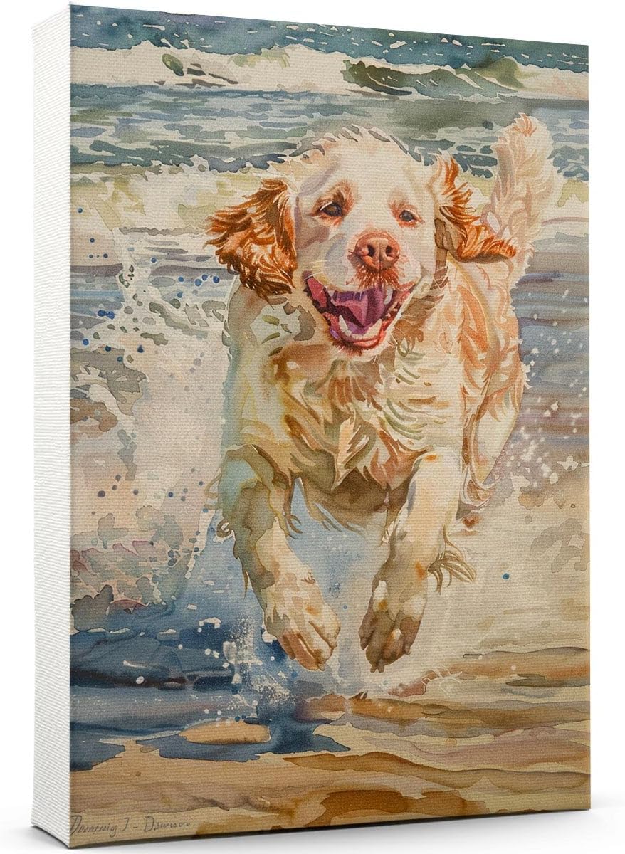 Clumber Spaniel Dog Canvas Wall Art